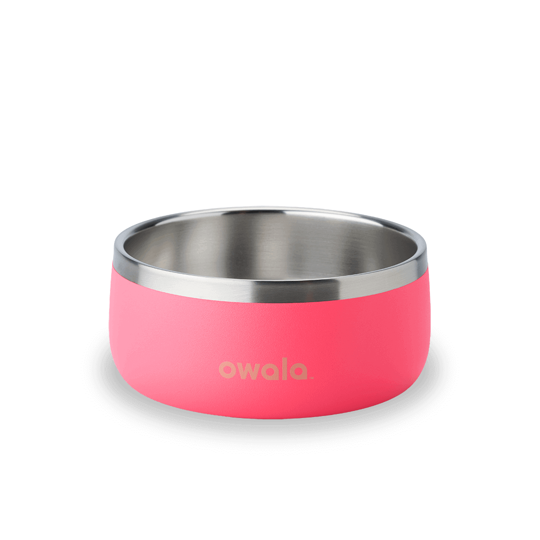 Pet Bowl - Hyper Flamingo